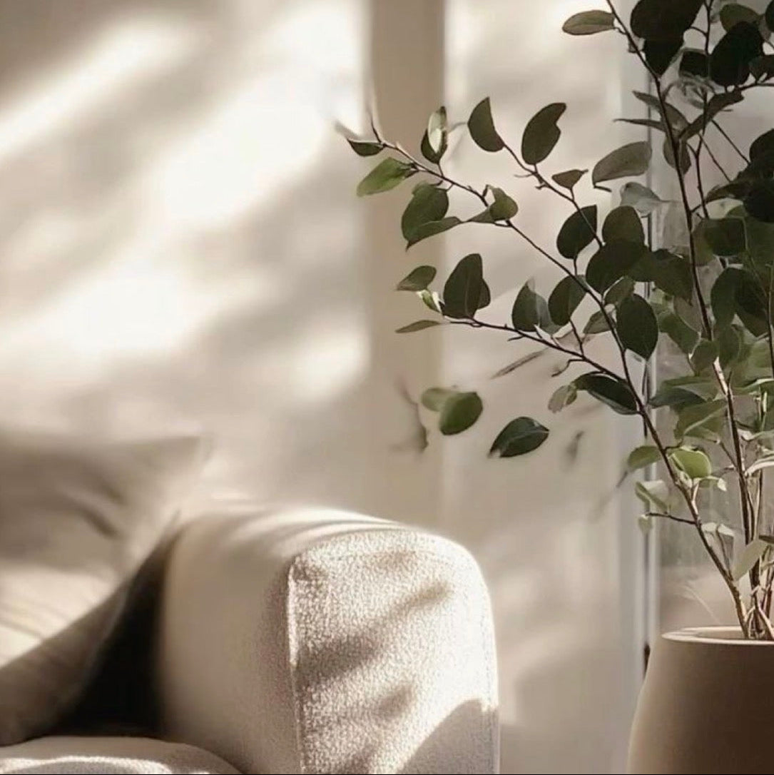 Behavioral Change - 3 Session Package